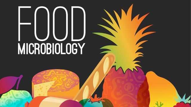 DMT 20063 FOOD MICROBIOLOGY